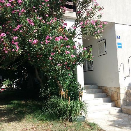 Apartman Nona Повляна Екстериор снимка