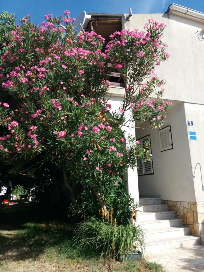 Apartman Nona Повляна Екстериор снимка